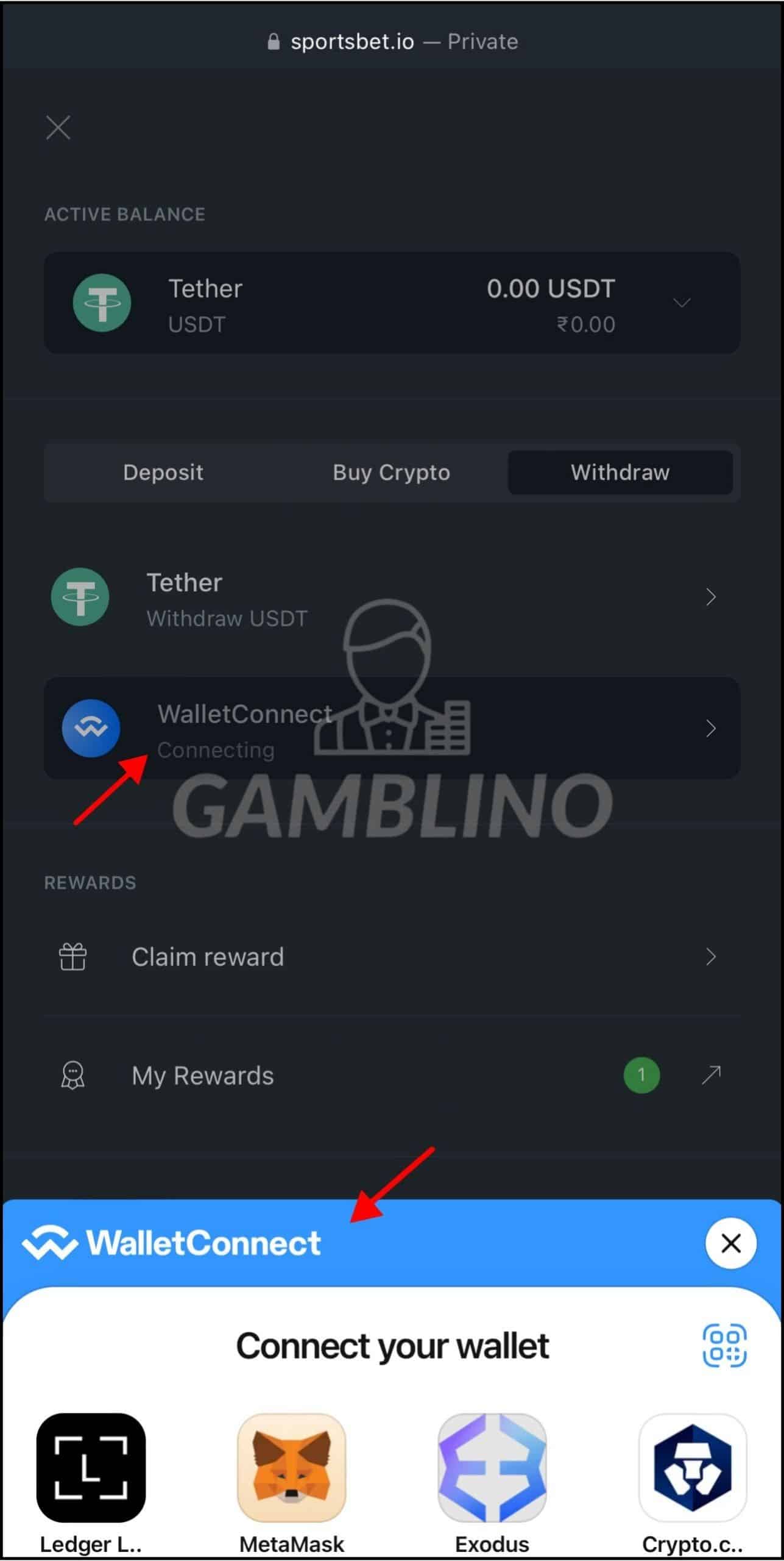 3rd step on how to withdraw on sportsbet.io