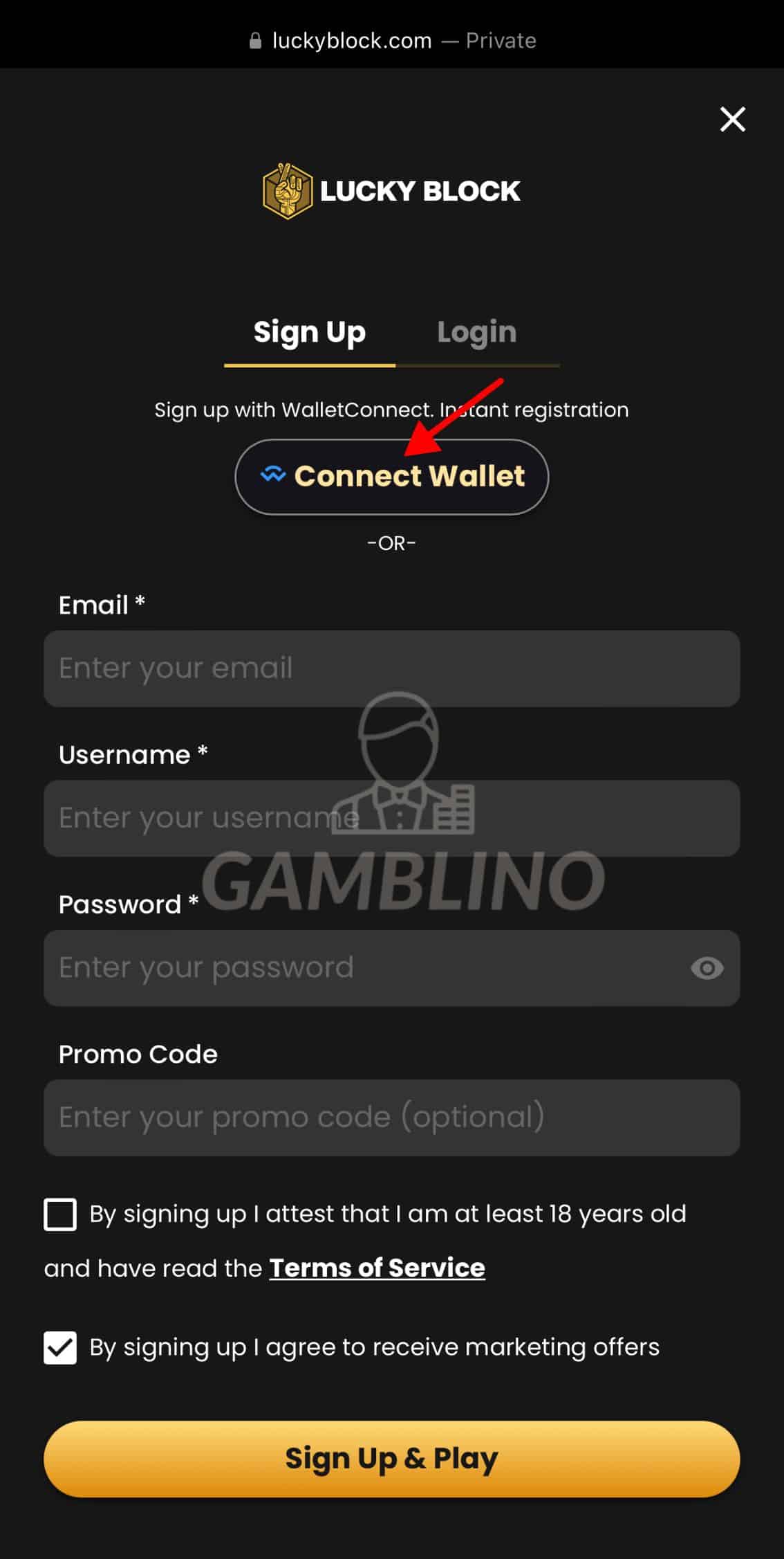 step 3 how to sign up lucky block