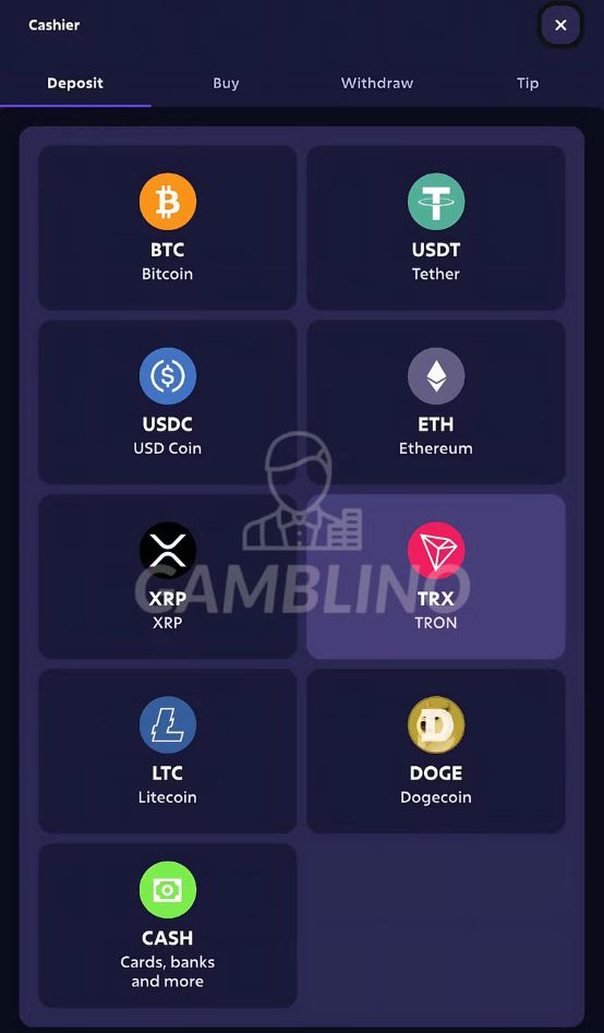 step 3 how to deposit roobet