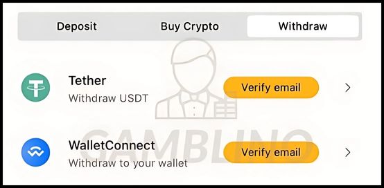 withdrawal bitcasino step 3